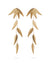 Oryza