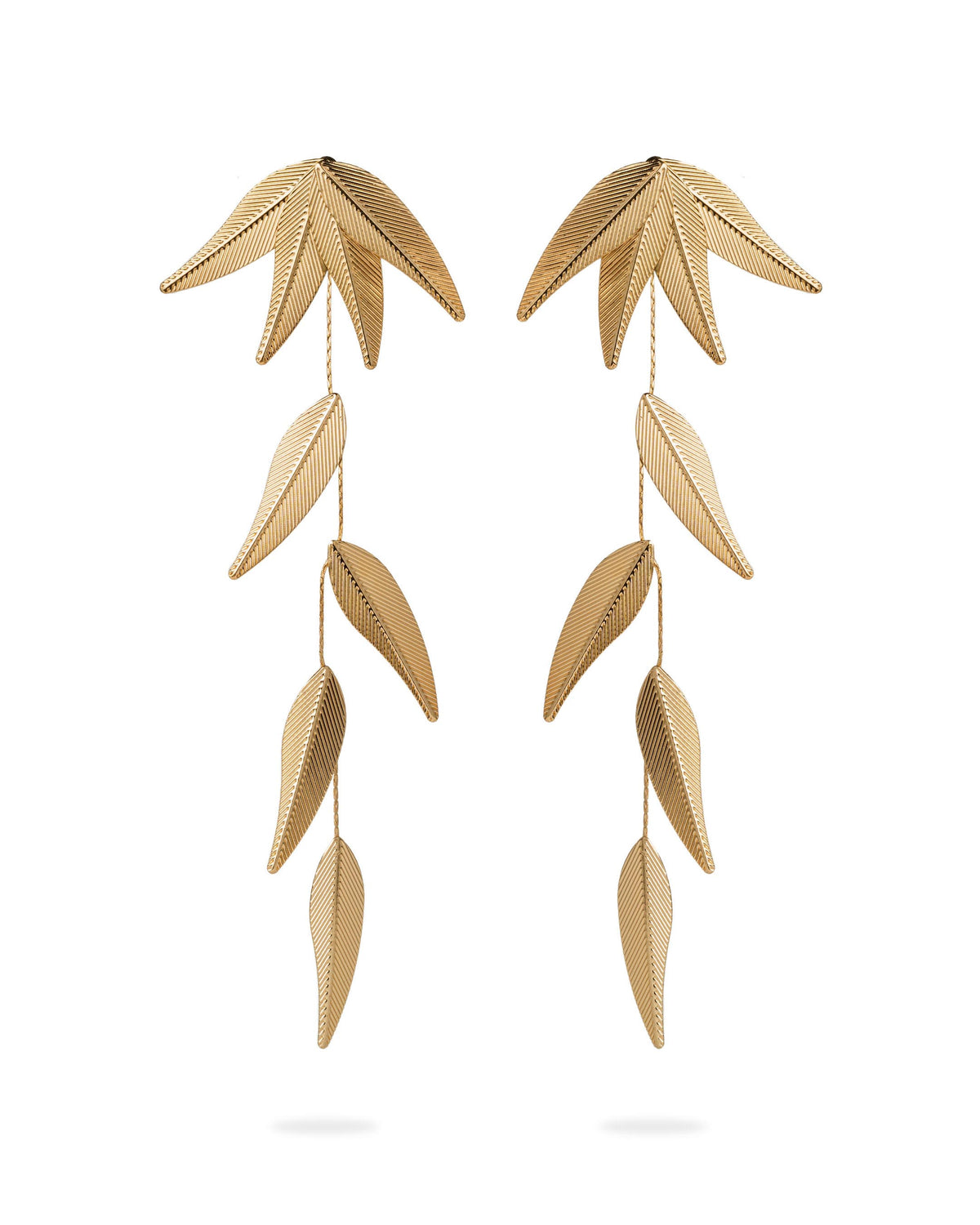 Oryza