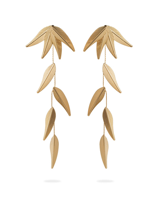Oryza