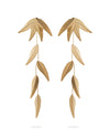 Oryza