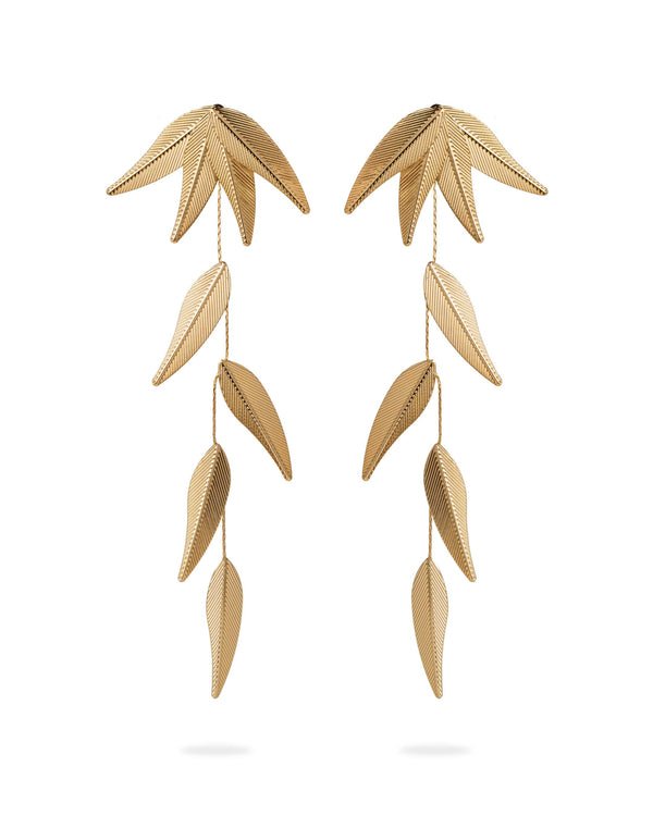 Oryza